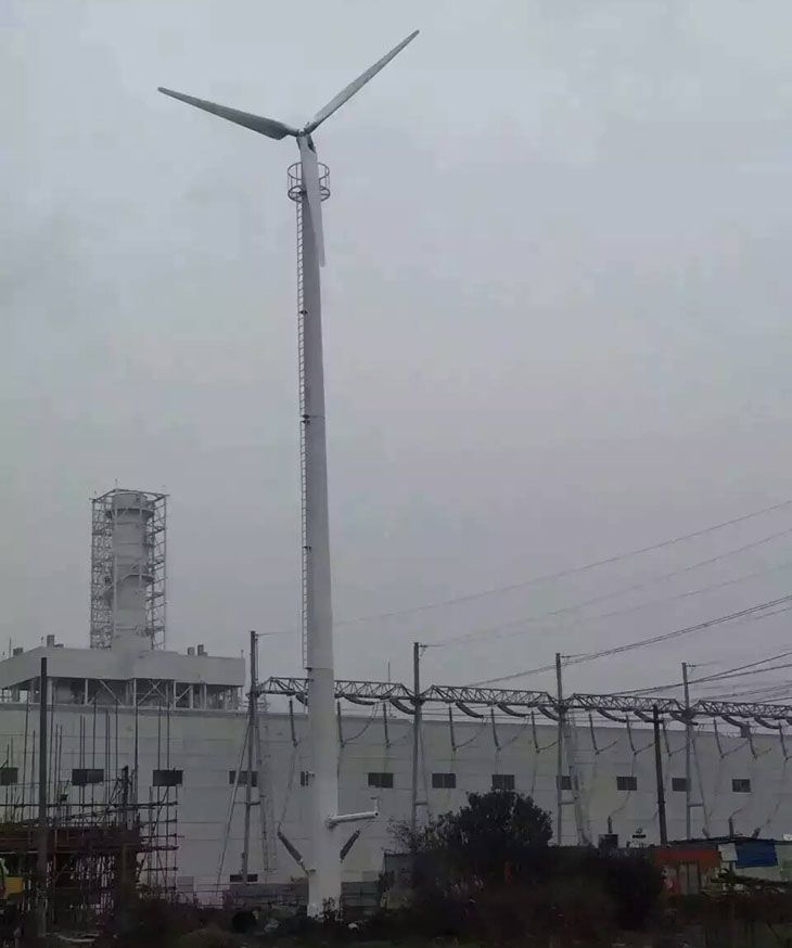 5fd98f289e6b8.jpg 02.jpg